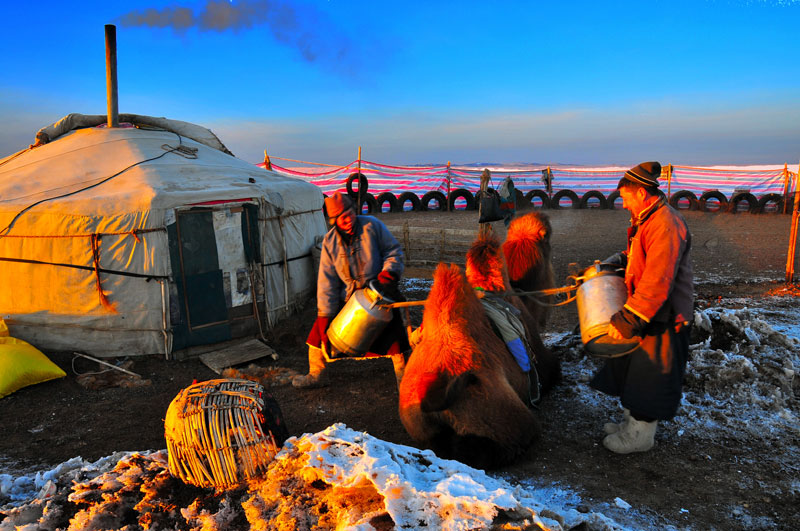 Mongolie